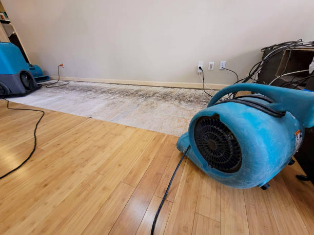 Professional Water Removal technician working in Southaven, MS